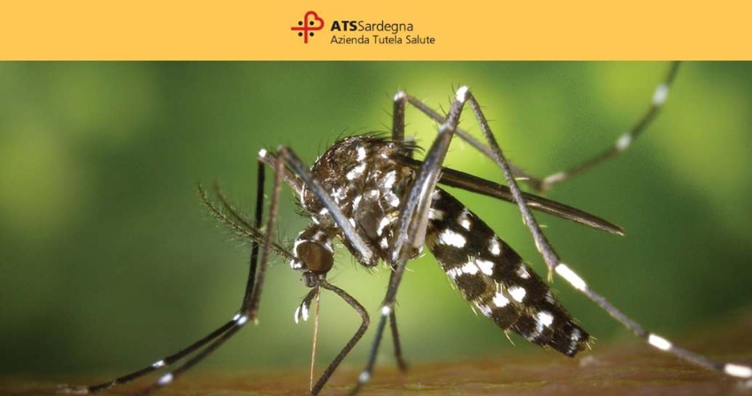 Febbre del Nilo e virus Usutu: come prevenire l’infezione