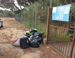 i rifiuti raccolti vicino alla ex scuola di torre grande