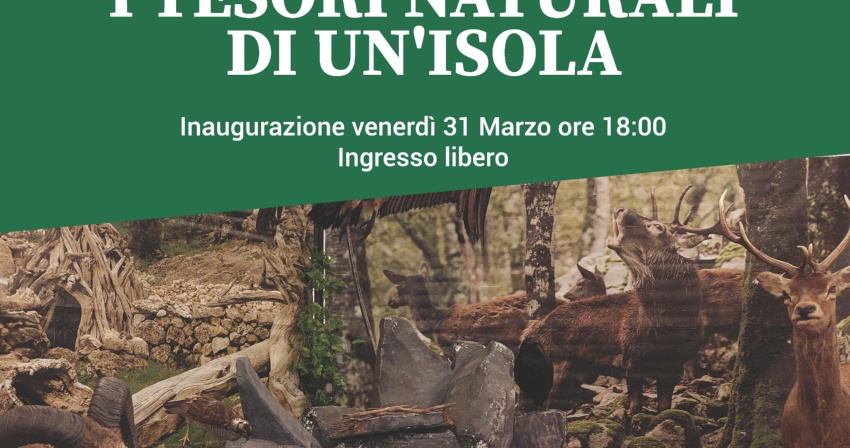 Al Teatro San Martino la mostra itinerante ''Sardegna foreste, i tesori naturali di un’isola''